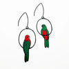 DENZ & CO - KING PARROTS