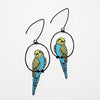 DENZ & CO - BUDGIES IN BLACK, BLUE & YELLOW