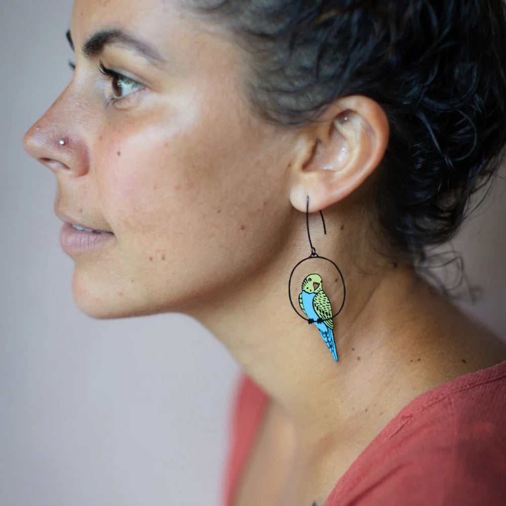 DENZ & CO - BUDGIES IN BLACK, BLUE & YELLOW