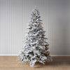 HOLLY & IVY 7ft SNOWY NORDIC FIR TREE